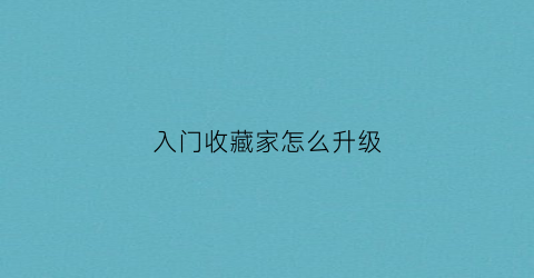 入门收藏家怎么升级