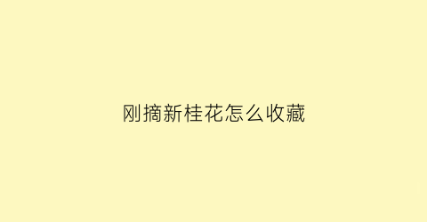 刚摘新桂花怎么收藏