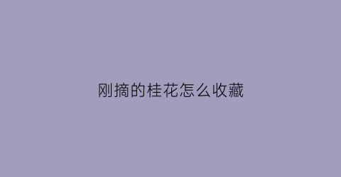 刚摘的桂花怎么收藏