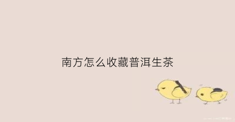 南方怎么收藏普洱生茶