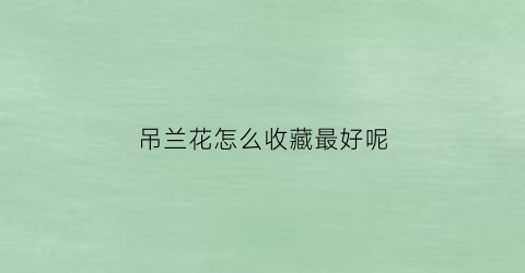 吊兰花怎么收藏最好呢