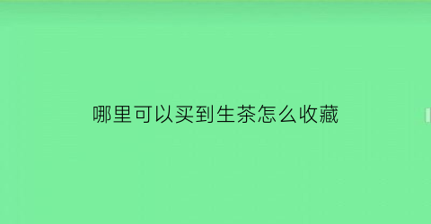 哪里可以买到生茶怎么收藏