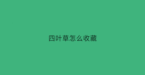 四叶草怎么收藏