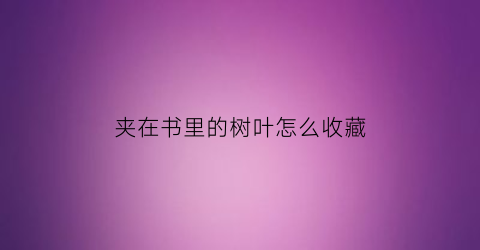 夹在书里的树叶怎么收藏