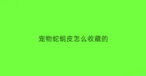 宠物蛇蜕皮怎么收藏的