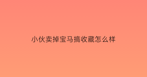 小伙卖掉宝马搞收藏怎么样