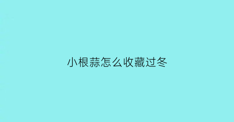 小根蒜怎么收藏过冬