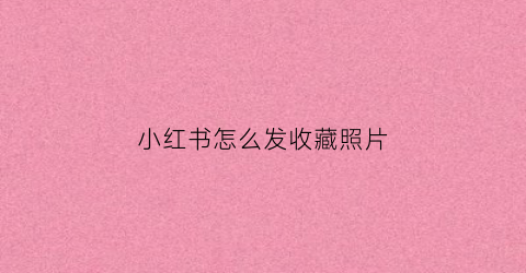 小红书怎么发收藏照片