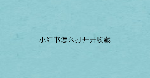 小红书怎么打开开收藏