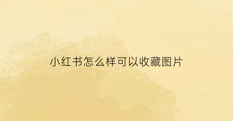 小红书怎么样可以收藏图片