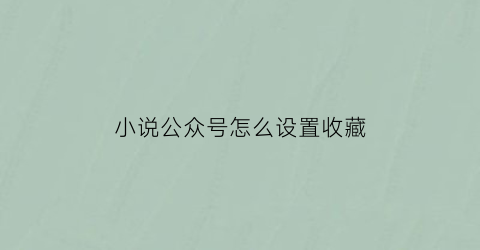 小说公众号怎么设置收藏