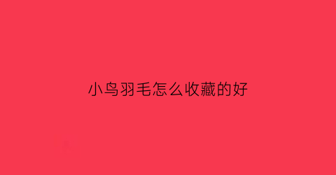 小鸟羽毛怎么收藏的好