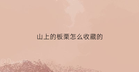 山上的板栗怎么收藏的