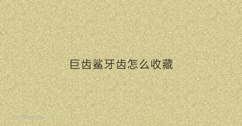 巨齿鲨牙齿怎么收藏