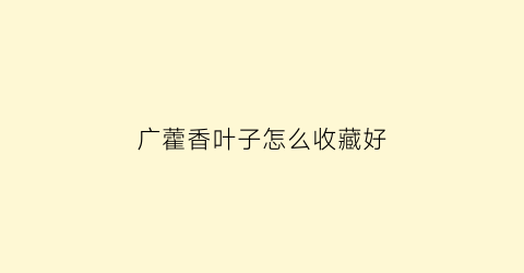 广藿香叶子怎么收藏好