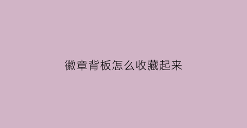 徽章背板怎么收藏起来