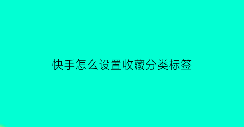 快手怎么设置收藏分类标签