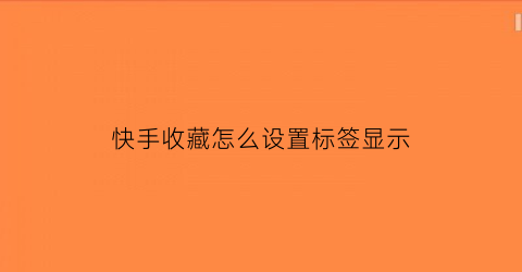 快手收藏怎么设置标签显示