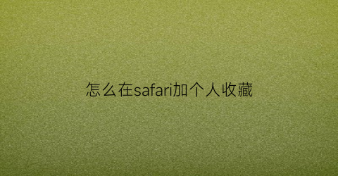 怎么在safari加个人收藏