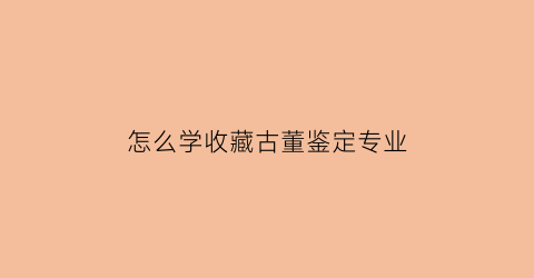 怎么学收藏古董鉴定专业