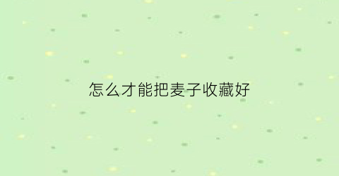 怎么才能把麦子收藏好