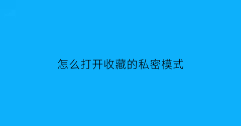 怎么打开收藏的私密模式