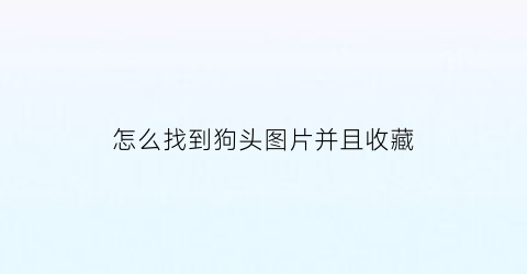 怎么找到狗头图片并且收藏