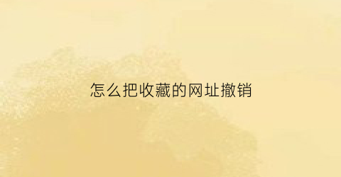 怎么把收藏的网址撤销