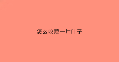 怎么收藏一片叶子