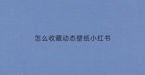 怎么收藏动态壁纸小红书