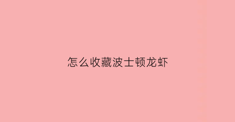 怎么收藏波士顿龙虾