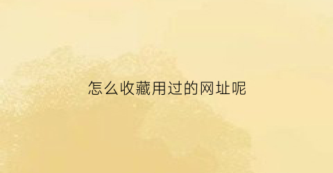 怎么收藏用过的网址呢