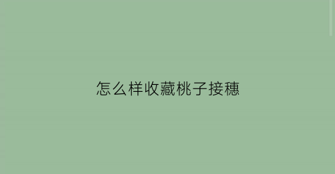 怎么样收藏桃子接穗