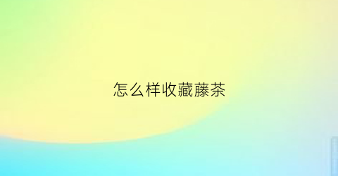 怎么样收藏藤茶