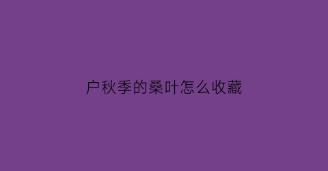 户秋季的桑叶怎么收藏