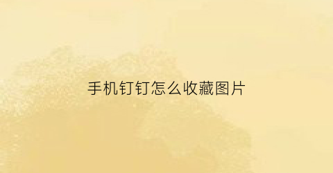 手机钉钉怎么收藏图片