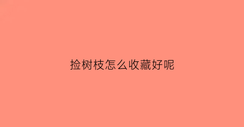 捡树枝怎么收藏好呢