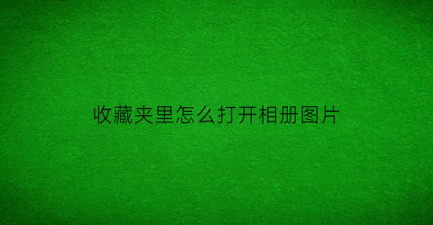 收藏夹里怎么打开相册图片