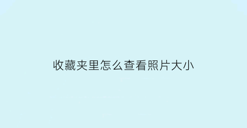 收藏夹里怎么查看照片大小