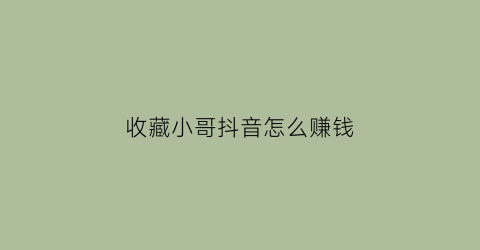 收藏小哥抖音怎么赚钱