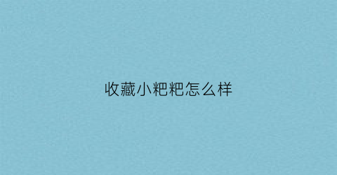 收藏小粑粑怎么样