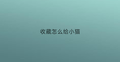 收藏怎么给小猫