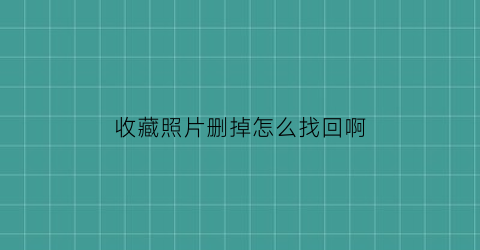 收藏照片删掉怎么找回啊