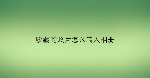 收藏的照片怎么转入相册