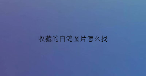 收藏的白鸽图片怎么找