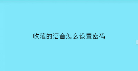 收藏的语音怎么设置密码