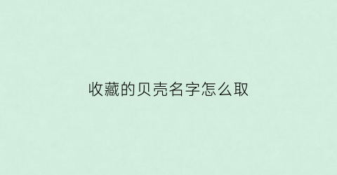 收藏的贝壳名字怎么取