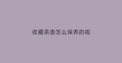 收藏茶壶怎么保养的呢