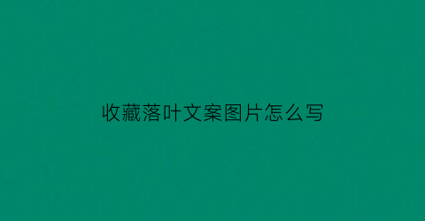 收藏落叶文案图片怎么写