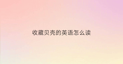 收藏贝壳的英语怎么读